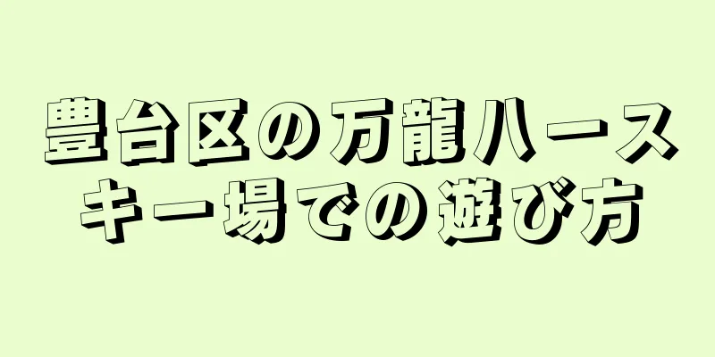 豊台区の万龍八一スキー場での遊び方