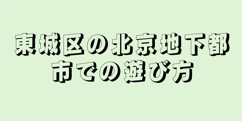 東城区の北京地下都市での遊び方