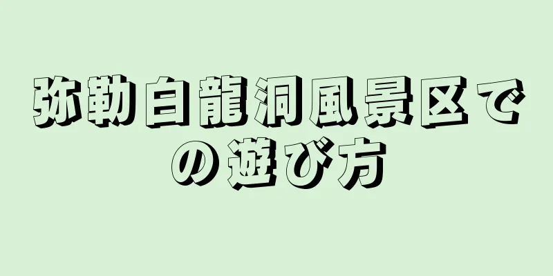 弥勒白龍洞風景区での遊び方