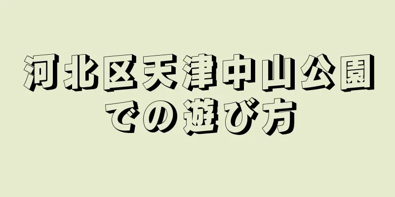 河北区天津中山公園での遊び方