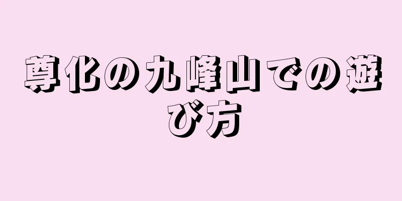 尊化の九峰山での遊び方