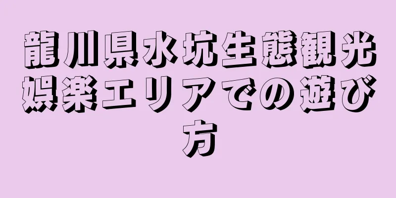 龍川県水坑生態観光娯楽エリアでの遊び方