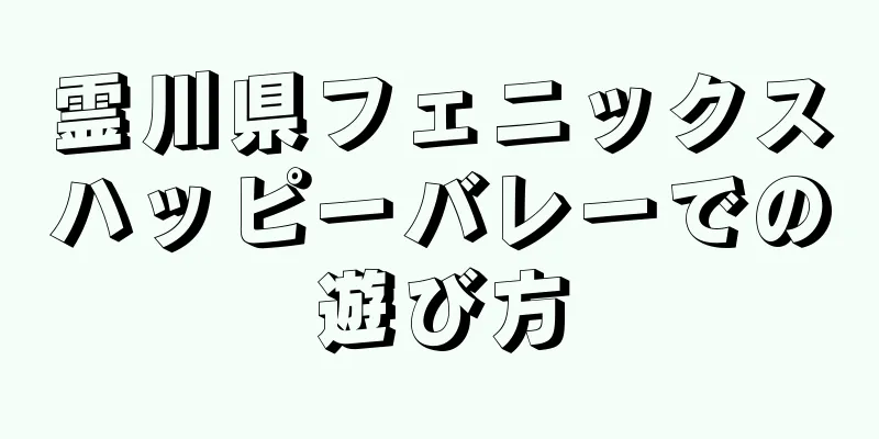 霊川県フェニックスハッピーバレーでの遊び方