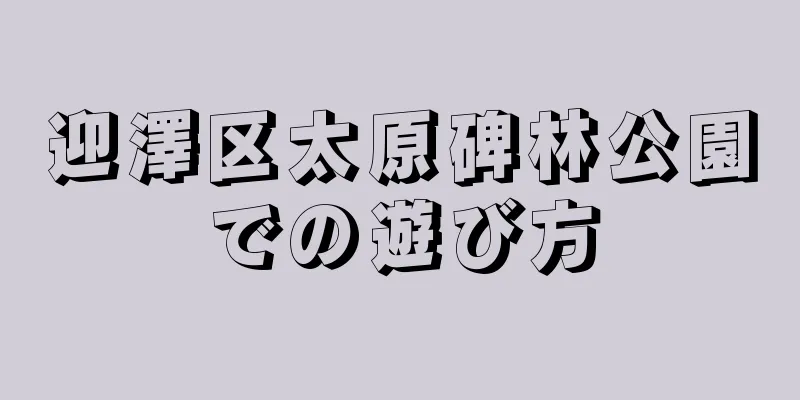 迎澤区太原碑林公園での遊び方