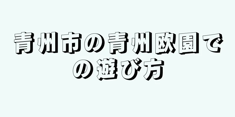 青州市の青州欧園での遊び方