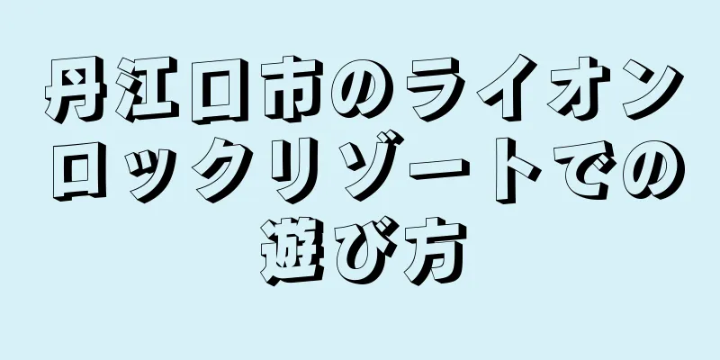 丹江口市のライオンロックリゾートでの遊び方