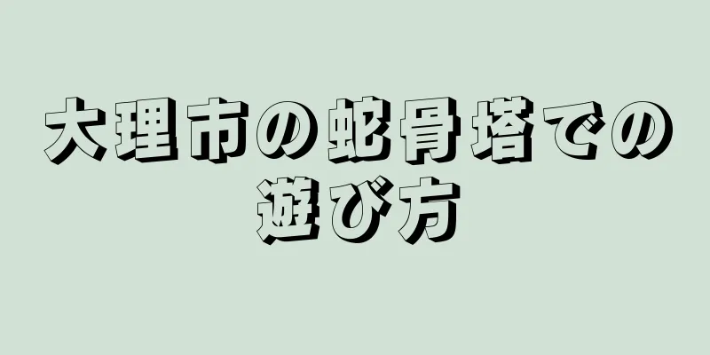 大理市の蛇骨塔での遊び方