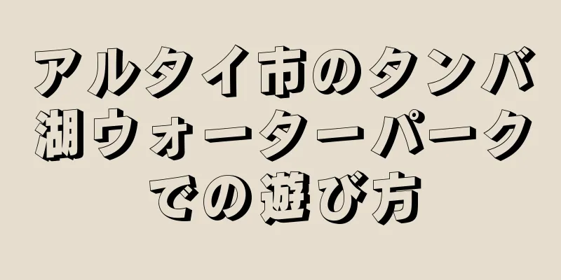 アルタイ市のタンバ湖ウォーターパークでの遊び方