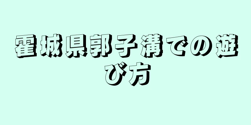 霍城県郭子溝での遊び方