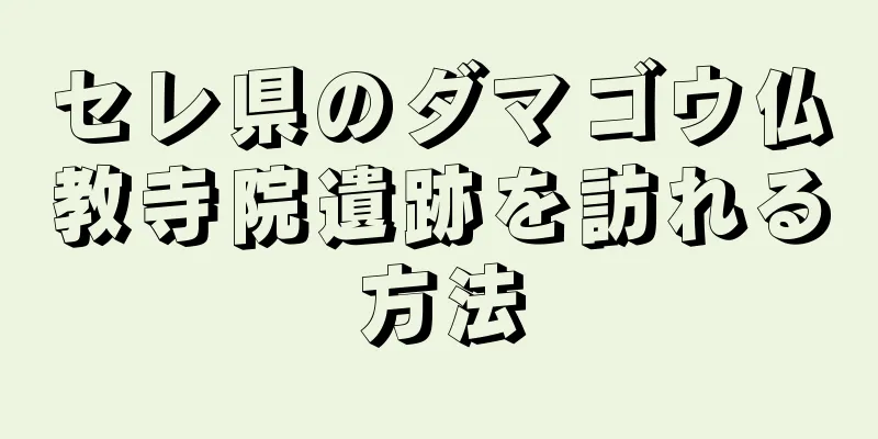 セレ県のダマゴウ仏教寺院遺跡を訪れる方法