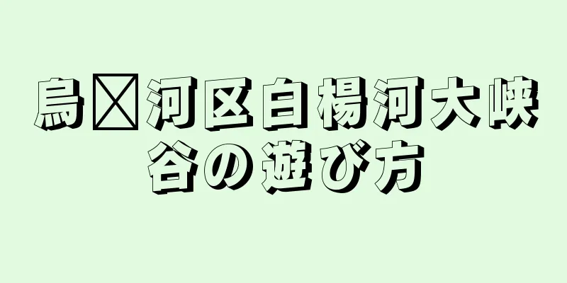 烏汉河区白楊河大峡谷の遊び方