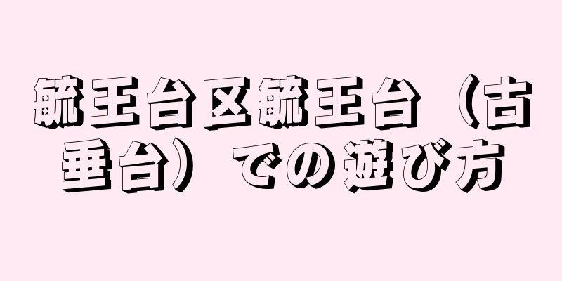毓王台区毓王台（古垂台）での遊び方