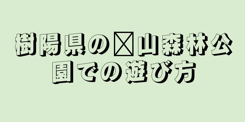 樹陽県の漳山森林公園での遊び方