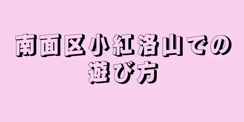 南面区小紅洛山での遊び方