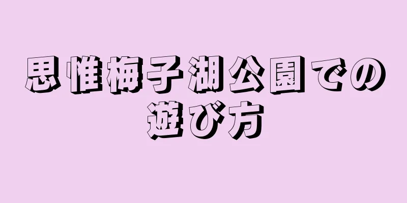 思惟梅子湖公園での遊び方