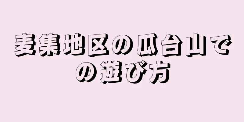 麦集地区の瓜台山での遊び方