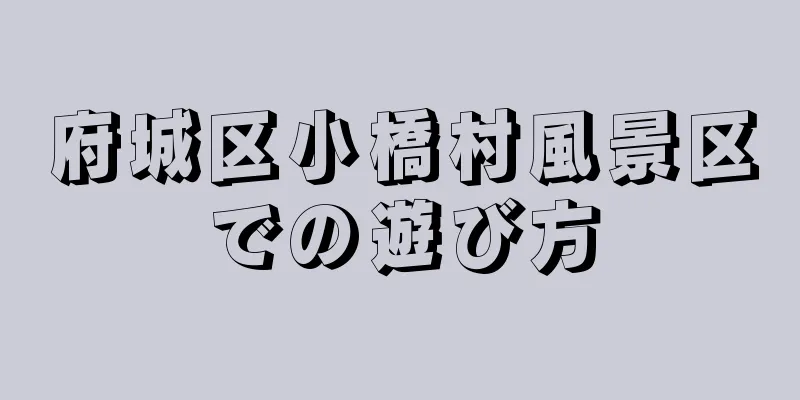 府城区小橋村風景区での遊び方