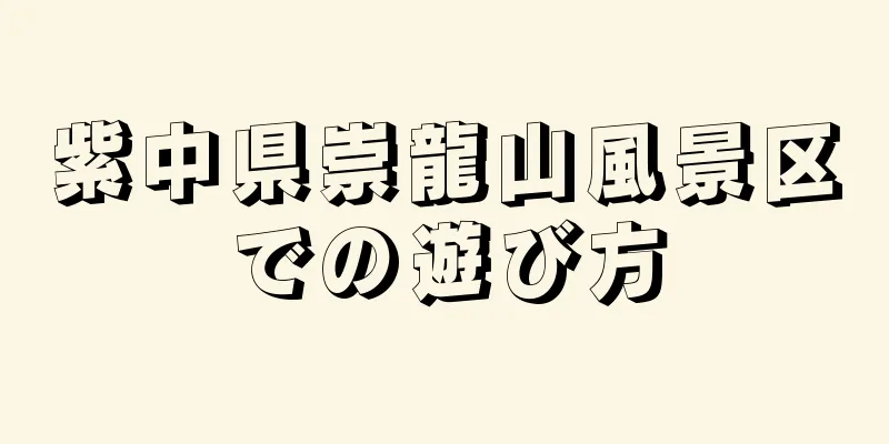 紫中県崇龍山風景区での遊び方