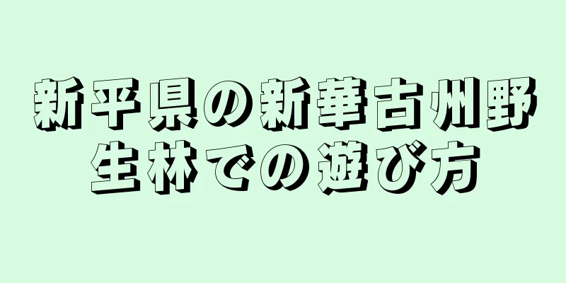 新平県の新華古州野生林での遊び方