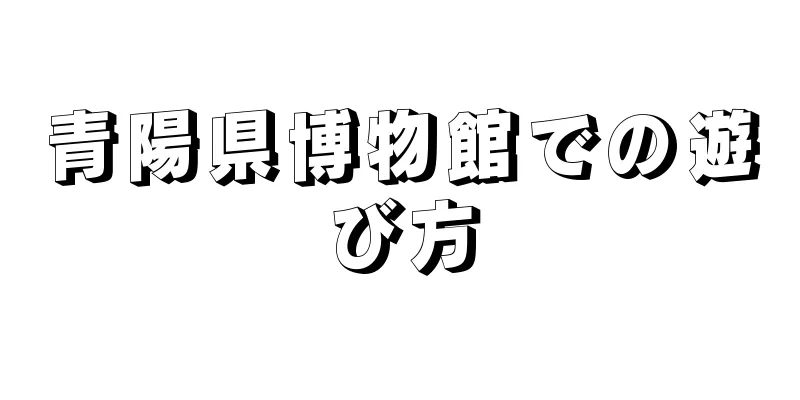 青陽県博物館での遊び方