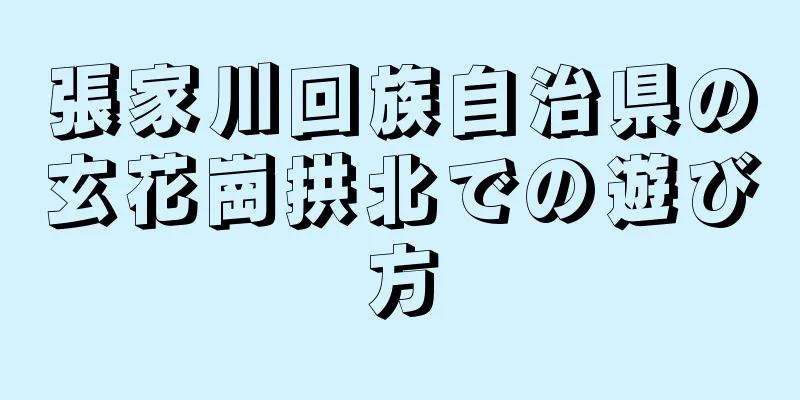 張家川回族自治県の玄花崗拱北での遊び方