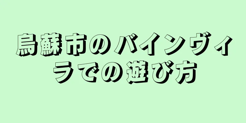 烏蘇市のバインヴィラでの遊び方