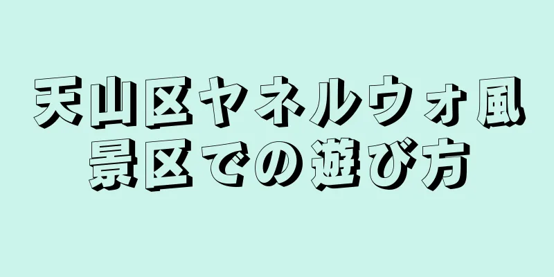 天山区ヤネルウォ風景区での遊び方