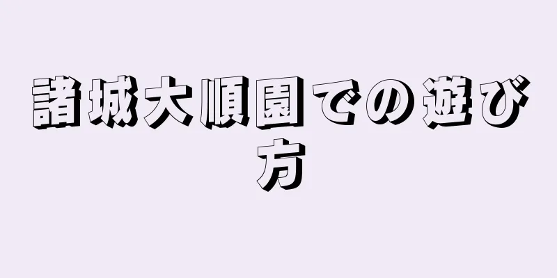 諸城大順園での遊び方