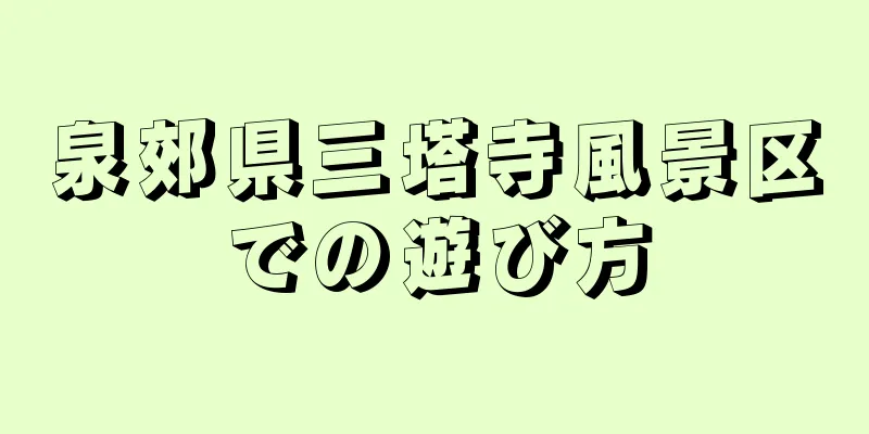 泉郊県三塔寺風景区での遊び方
