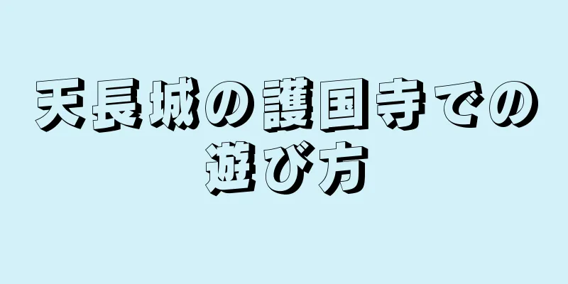 天長城の護国寺での遊び方