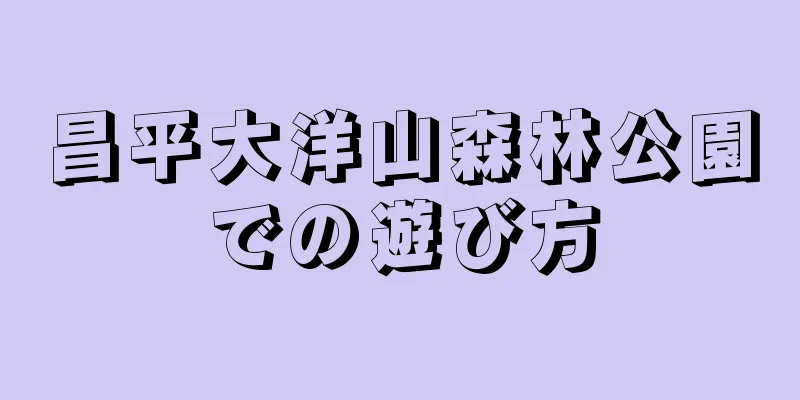 昌平大洋山森林公園での遊び方