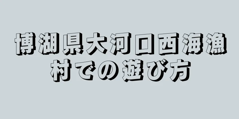 博湖県大河口西海漁村での遊び方
