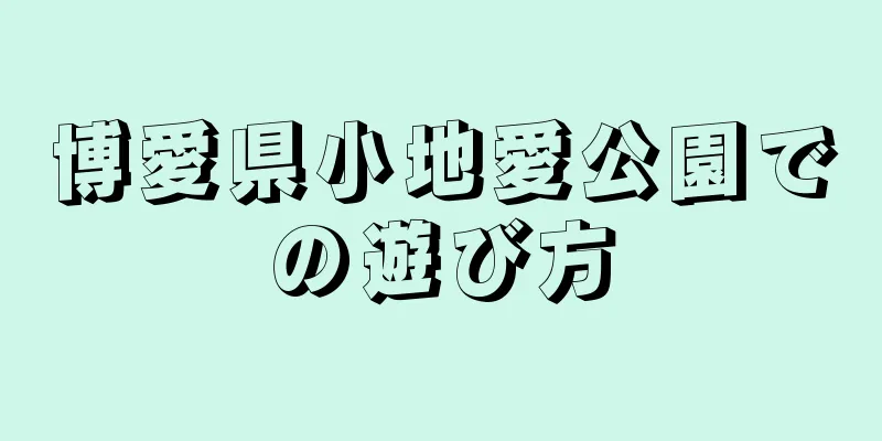 博愛県小地愛公園での遊び方