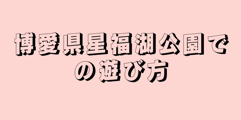 博愛県星福湖公園での遊び方