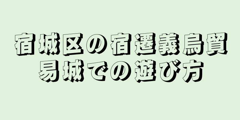 宿城区の宿遷義烏貿易城での遊び方