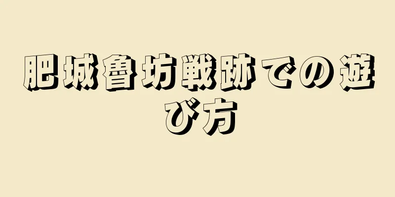 肥城魯坊戦跡での遊び方