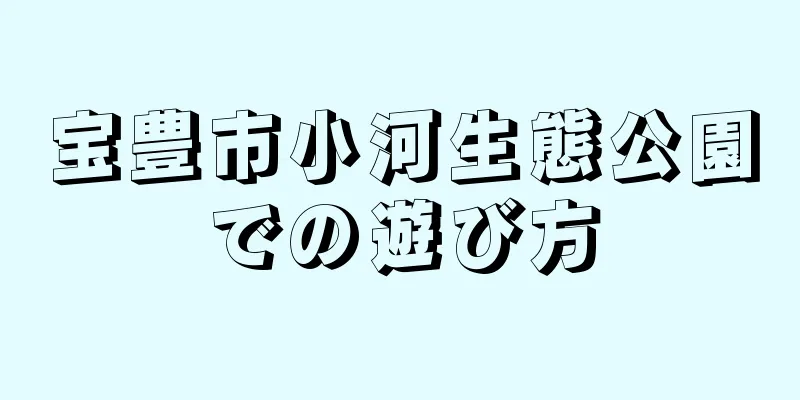 宝豊市小河生態公園での遊び方