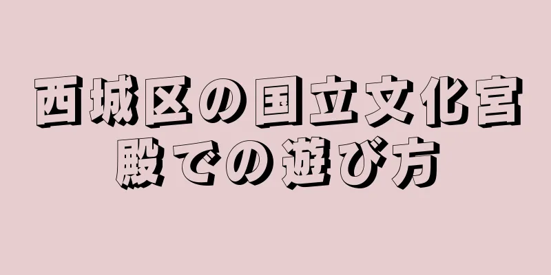 西城区の国立文化宮殿での遊び方