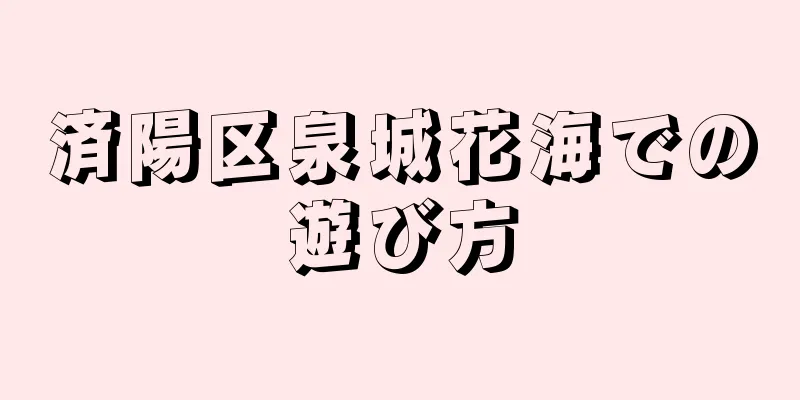 済陽区泉城花海での遊び方