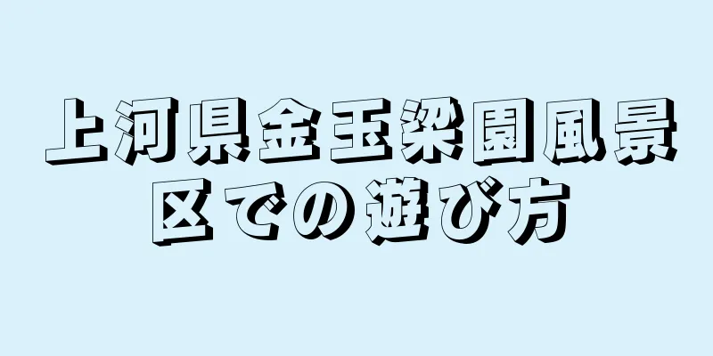 上河県金玉梁園風景区での遊び方