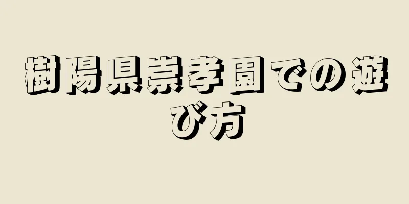 樹陽県崇孝園での遊び方