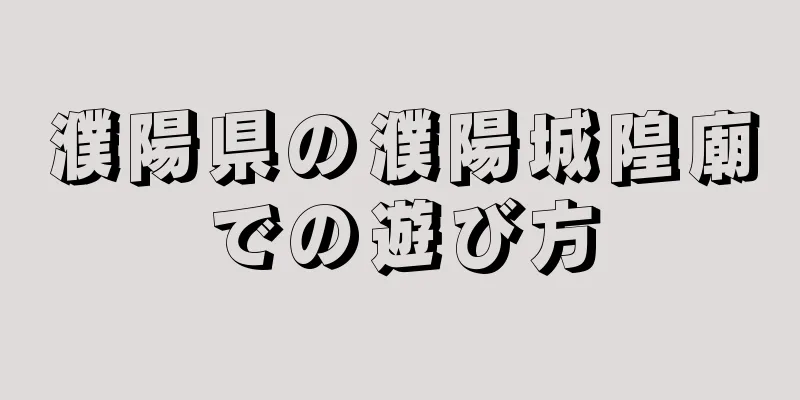 濮陽県の濮陽城隍廟での遊び方