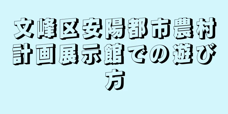 文峰区安陽都市農村計画展示館での遊び方