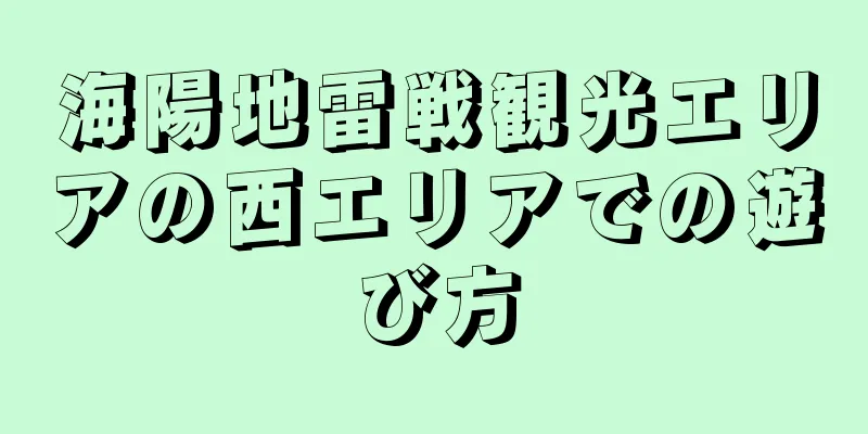 海陽地雷戦観光エリアの西エリアでの遊び方