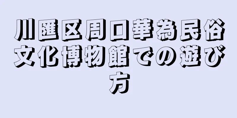 川匯区周口華為民俗文化博物館での遊び方