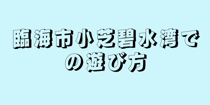 臨海市小芝碧水湾での遊び方