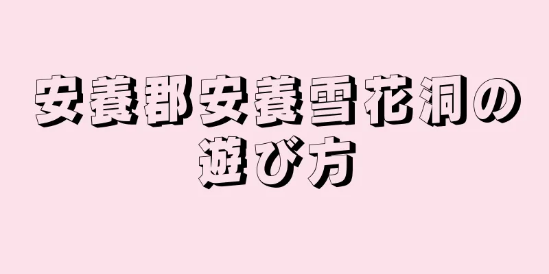 安養郡安養雪花洞の遊び方