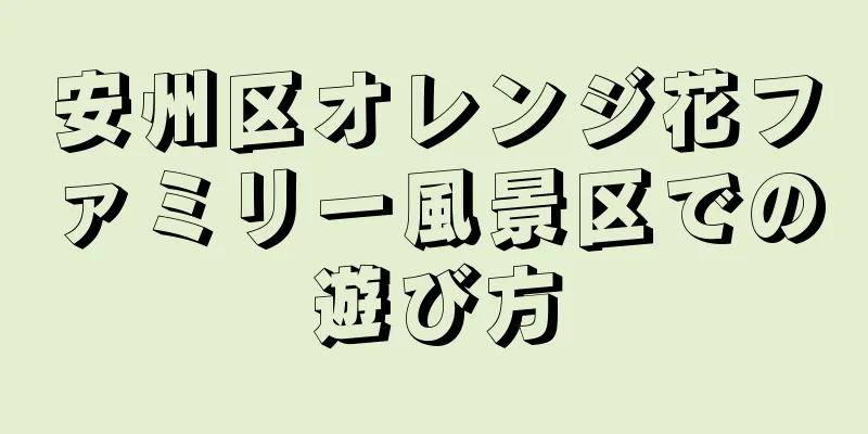 安州区オレンジ花ファミリー風景区での遊び方