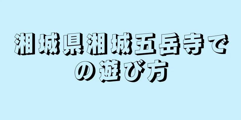 湘城県湘城五岳寺での遊び方