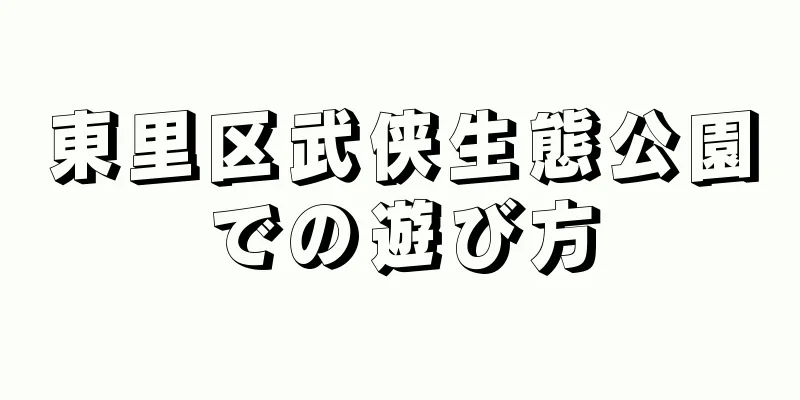 東里区武侠生態公園での遊び方